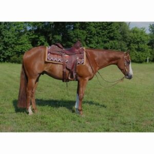 Flossie - Red Roan Mare - For Sale