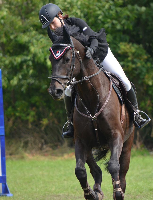 equestrian events and shows
